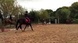 Riding School Insurance